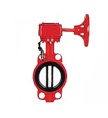 FDX��̖(h��o)���y